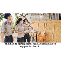 Thời hạn để người phải thi hành án hành chính tự nguyện thi hành án là bao lâu?