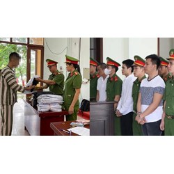 Người bị thi hành án tử hình chết trước khi thi hành án thì làm sao?