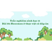 Trắc nghiệm Sinh học 11 Bài 35 Hoocmon ở thực vật có đáp án