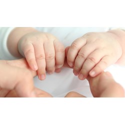 Quyền nhận nuôi, quyền được nhận làm con nuôi của người đồng tính