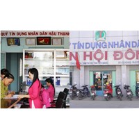 Nội dung phương án tổ chức lại quỹ tín dụng nhân dân bị tách