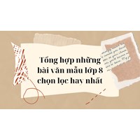 Tổng hợp những bài văn mẫu lớp 8 chọn lọc hay nhất
