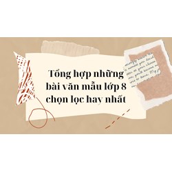 Tổng hợp những bài văn mẫu lớp 8 chọn lọc hay nhất