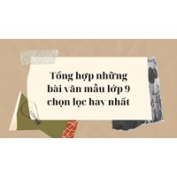 Tổng hợp những bài văn mẫu lớp 9 chọn lọc hay nhất