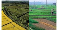 Điều kiện, thời hạn, quy trình cho thuê đất công ích