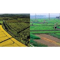 Điều kiện, thời hạn, quy trình cho thuê đất công ích