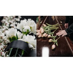 Dàn ý Phân tích nghệ thuật trào phúng qua Hạnh phúc của một tang gia