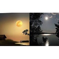 Dàn ý phát biểu cảm nghĩ của em về bài Cảnh khuya của Hồ Chí Minh