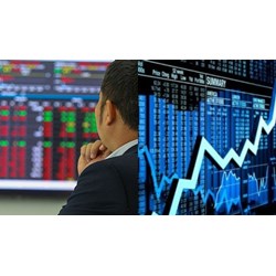 Giấy đề nghị chấm dứt hoạt động kinh doanh chứng khoán phái sinh