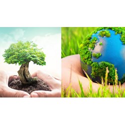 Thời hạn tính thuế bảo vệ môi trường
