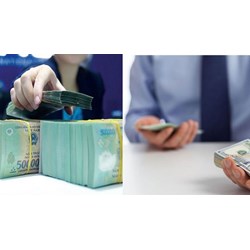 Phải làm gì với thủ đoạn lừa đảo vay tiền để đáo hạn ngân hàng?