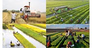 Mẫu đơn đề nghị phê chuẩn sản phẩm bảo hiểm nông nghiệp mới nhất
