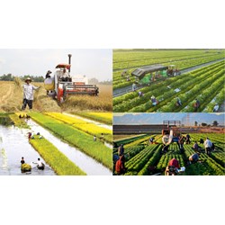 Mẫu đơn đề nghị phê chuẩn sản phẩm bảo hiểm nông nghiệp mới nhất