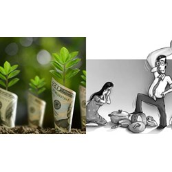 Bạo lực kinh tế là gì? Biểu hiện của Bạo lực kinh tế như thế nào?