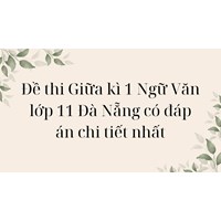Đề thi Giữa kì 1 Ngữ Văn lớp 11 Đà Nẵng có đáp án chi tiết nhất