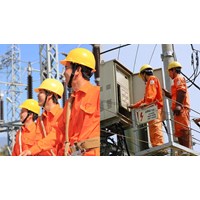 Nội dung hoạt động điều tiết hoạt động điện lực theo quy định