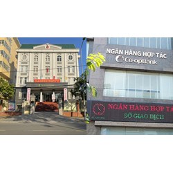 Chấm dứt hoạt động Phòng giao dịch ngân hàng hợp tác xã khi nào?