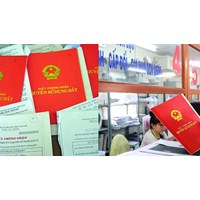 Dịch vụ soạn thảo đơn xin trích lục hồ sơ nhà đất