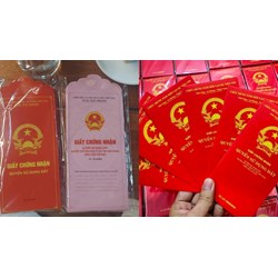 In hình Quốc huy lên phong bao lì xì có vi phạm pháp luật hay không?