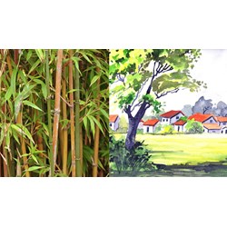 Giới thiệu bài hát Làng tôi của Văn Cao siêu hay Ngữ văn 11