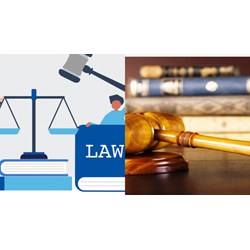 Sẽ ban hành chính sách với luật sư công trong thời gian sớm nhất?