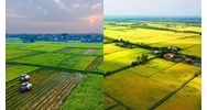 Hồ sơ đăng ký cấp sổ đỏ khi dồn điền đổi thửa gồm những gì?