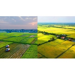Hồ sơ đăng ký cấp sổ đỏ khi dồn điền đổi thửa gồm những gì?