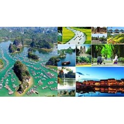 Cơ quan nào thực hiện việc điều tra tài nguyên du lịch?