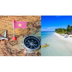 Cục trưởng Cục Du lịch Quốc gia Việt Nam có những quyền hạn nào?