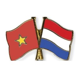 Ban chấp hành Hội Hữu nghị và Hợp tác Việt Nam và Hà Lan có những nhiệm vụ,quyền hạn gì?