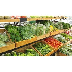 Quy định về các mã ngành nghề đăng ký kinh doanh thực phẩm