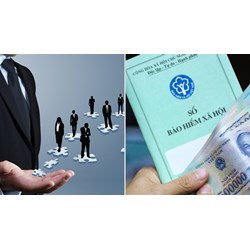 Chi nhánh có được chọn đóng bảo hiểm xã hội tại công ty mẹ không?