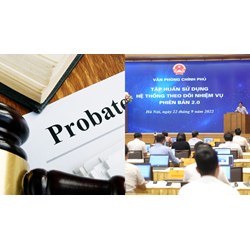 Thời gian tập sự có bao gồm cả thời gian đi tập huấn hay không?