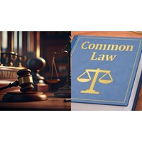 So sánh án lệ của Việt Nam với án lệ của các nước Common law