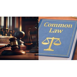 So sánh án lệ của Việt Nam với án lệ của các nước Common law