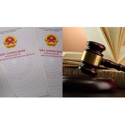 Cấp giấy chứng nhận quyền sử dụng đất, giao đất trên thực địa cho người trúng đấu giá thực hiện thế nào?