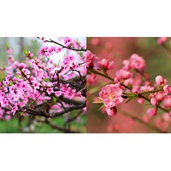 Không tổ chức thăm, chúc Tết Giáp Thìn cấp trên và lãnh đạo các cấp theo Chỉ thị 26-CT/TW