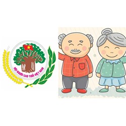 Nhiệm vụ của Ban chấp hành Hội người cao tuổi Việt Nam