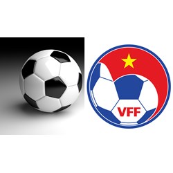Nhiệm kỳ của Ban Chấp hành Liên đoàn Bóng đá Việt Nam là bao nhiêu năm?