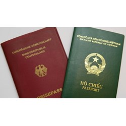 Quy định về in, sử dụng đơn xin thôi quốc tịch Việt Nam