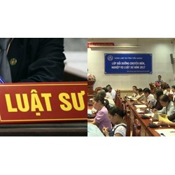 Mức xử phạt luật sư không tham gia bồi dưỡng bắt buộc hàng năm là?