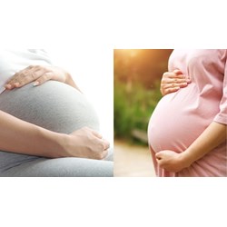 Viên chức chưa đăng ký kết hôn mà sinh con có bị xử lý kỷ luật không?