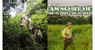 Nội dung, yêu cầu khi tổ chức Ngày Lâm nghiệp Việt Nam 28/11 là gì?