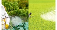 Sản xuất nông nghiệp hữu cơ có được sử dụng thuốc trừ sâu bệnh?