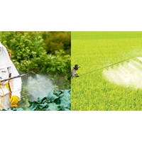 Sản xuất nông nghiệp hữu cơ có được sử dụng thuốc trừ sâu bệnh?
