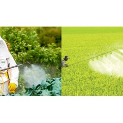 Sản xuất nông nghiệp hữu cơ có được sử dụng thuốc trừ sâu bệnh?