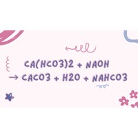 Phương trình hoá học Ca(HCO3)2 + NaOH → CaCO3 ↓ + H2O + NaHCO3