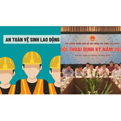Thẩm quyền thành lập Hội đồng an toàn vệ sinh lao động cấp tỉnh?