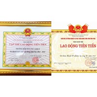 Thẩm quyền quyết định tặng danh hiệu “Lao động tiên tiến” năm 2024