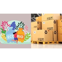 Mẫu đơn đề nghị cấp Giấy phép vận chuyển thuốc bảo vệ thực vật